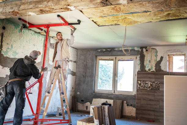 Best Local Insulation Services  in Faith, NC
