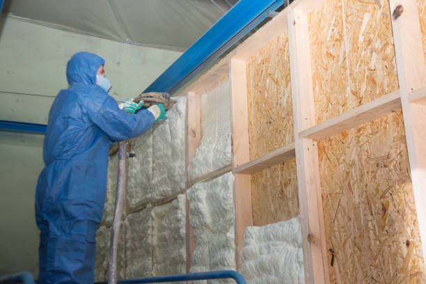 Best Energy-efficient Insulation  in Faith, NC