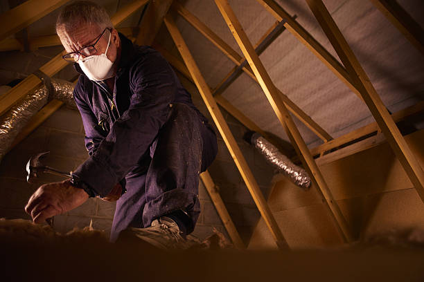 Best Attic Insulation Installation  in Faith, NC